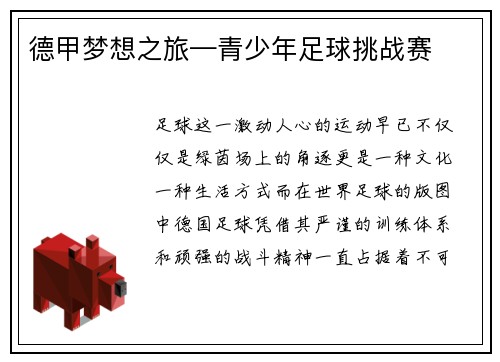 德甲梦想之旅—青少年足球挑战赛