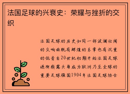 法国足球的兴衰史：荣耀与挫折的交织